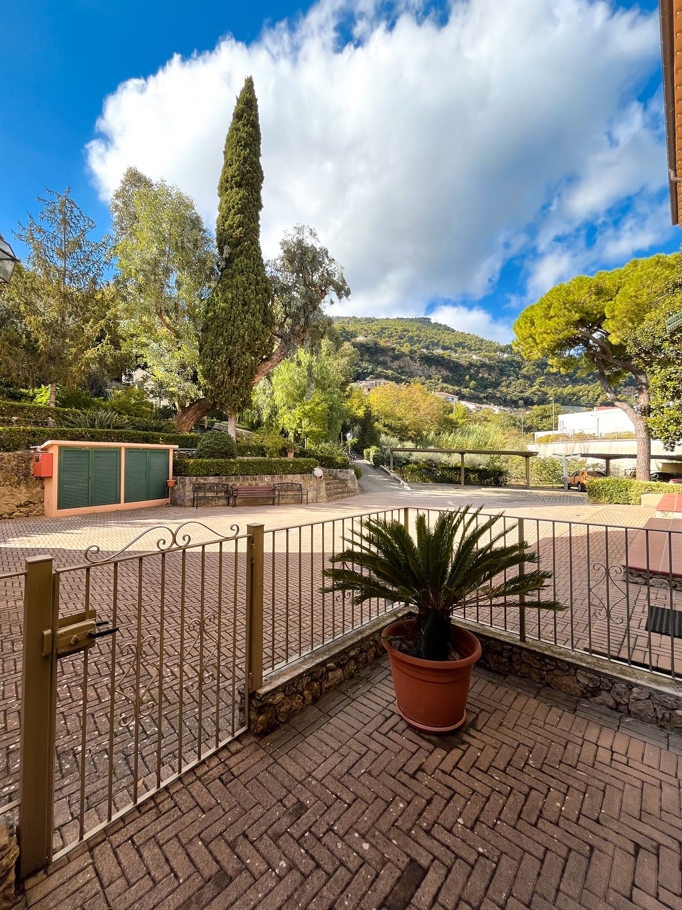 Giardino comune, cipresso e collina di Ventimiglia.
